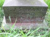 image of grave number 45656